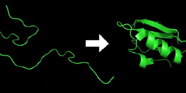 Article teaser image