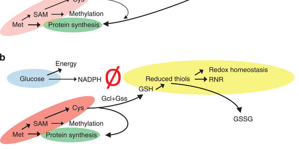 Article teaser image