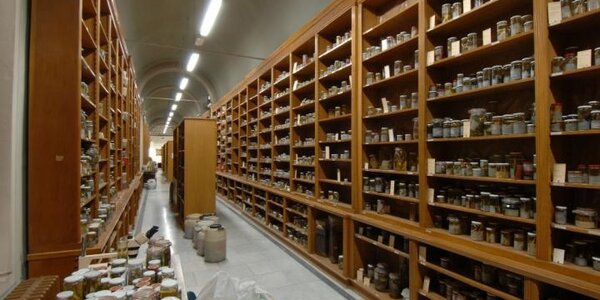 Article teaser image