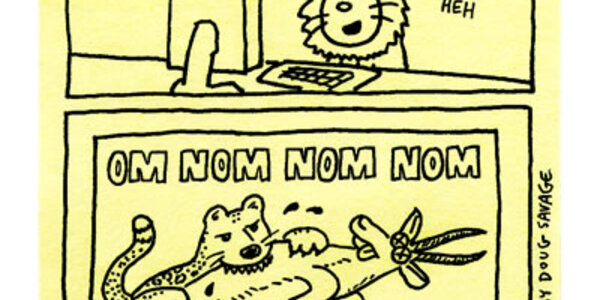 Article teaser image