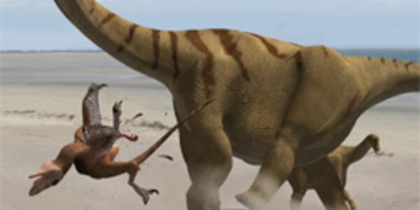 Article teaser image