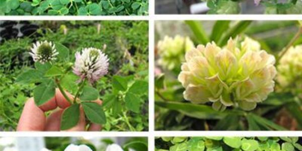 Article teaser image