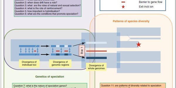 Article teaser image