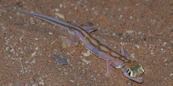 Article teaser image