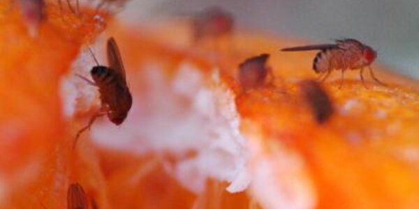 Article teaser image