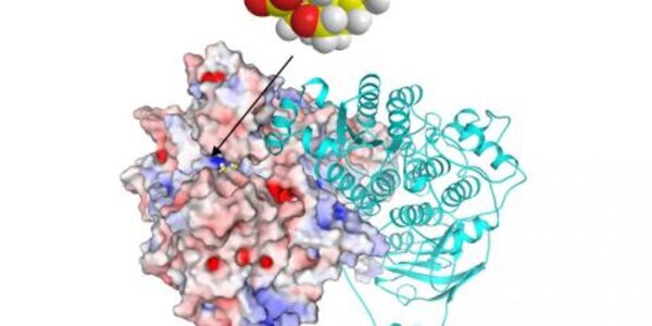 Article teaser image