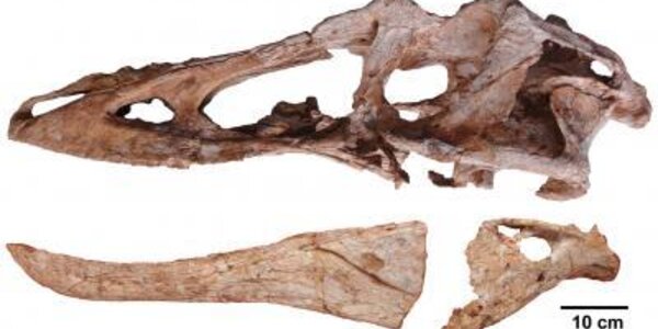 Article teaser image