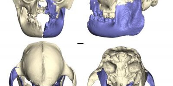 Article teaser image