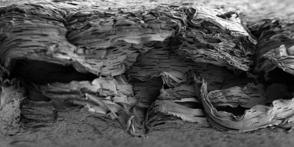 Article teaser image