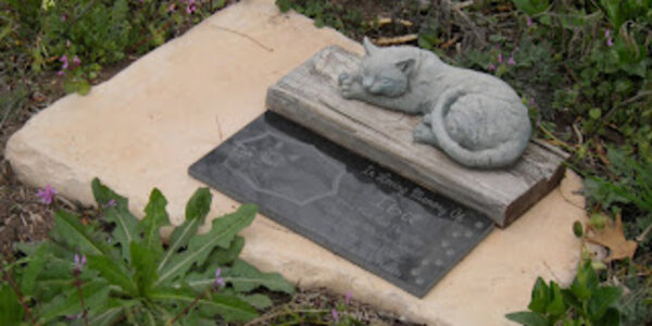 Article teaser image