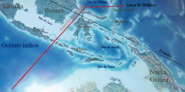 Article teaser image