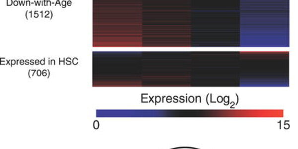 Article teaser image