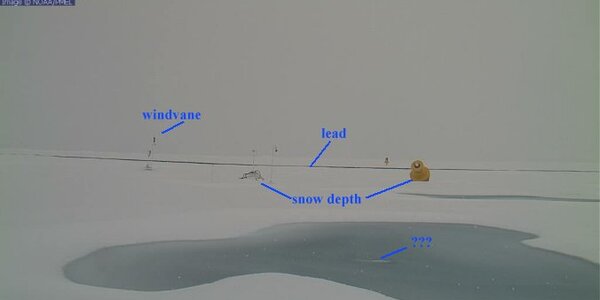 Article teaser image