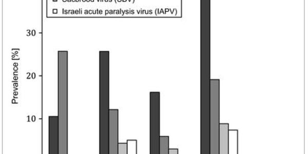Article teaser image