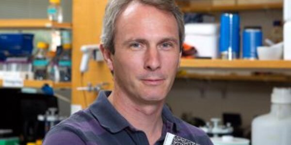 Article teaser image