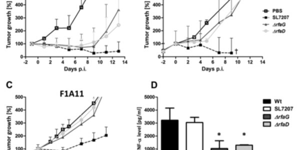 Article teaser image