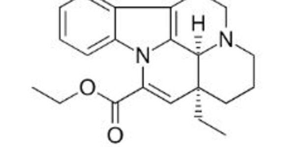 Article teaser image