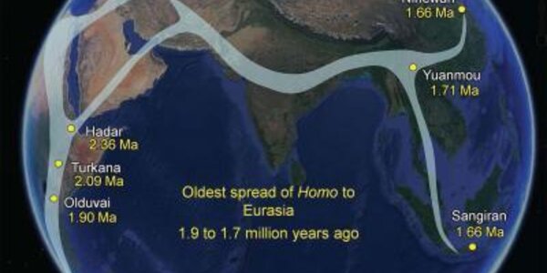 Article teaser image