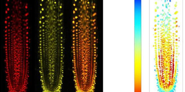 Article teaser image