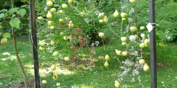 Article teaser image