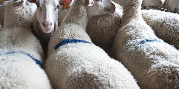 Article teaser image