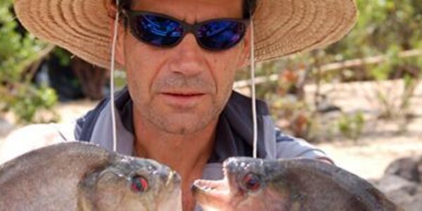 Article teaser image