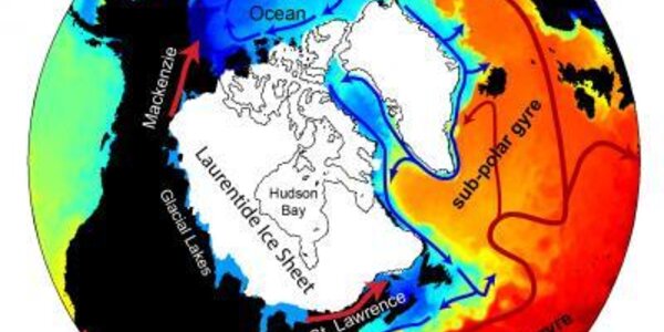 Article teaser image