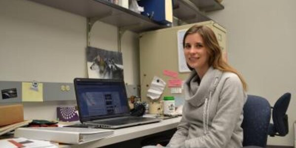 Article teaser image