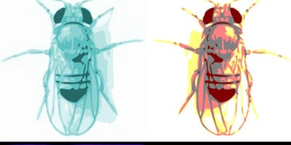 Article teaser image