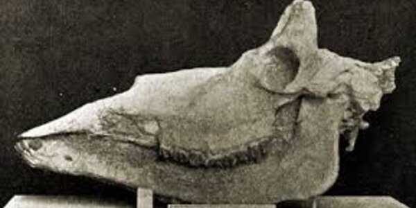 Article teaser image