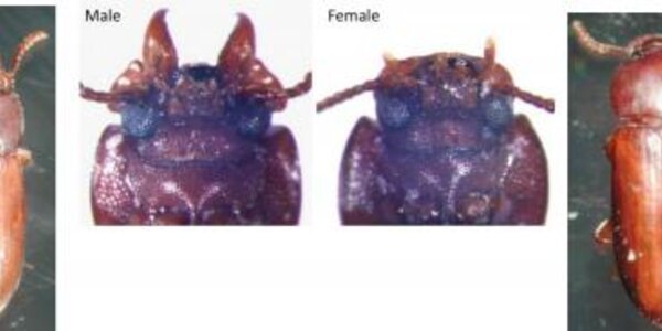 Article teaser image