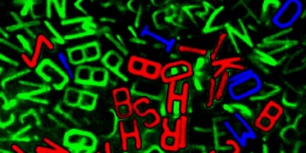 Article teaser image