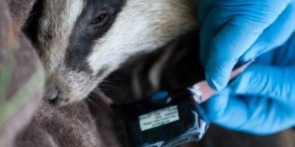 Article teaser image