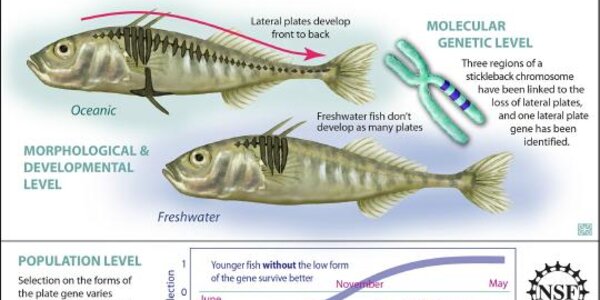 Article teaser image