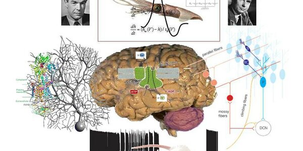 Article teaser image