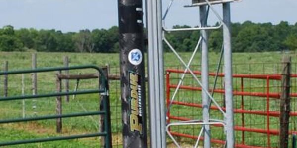 Article teaser image