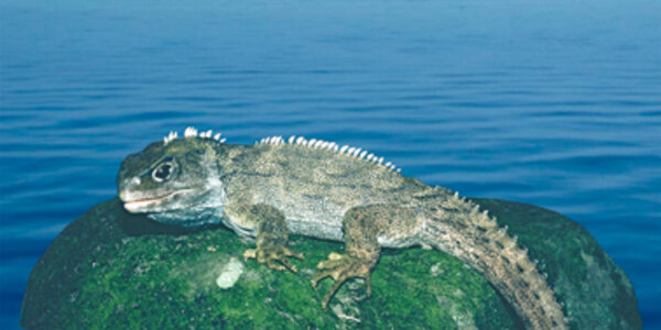 Article teaser image