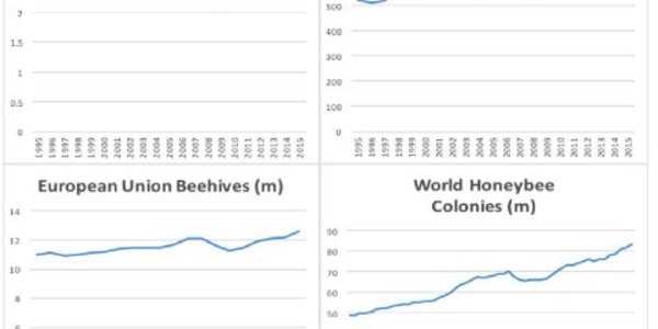 Article teaser image