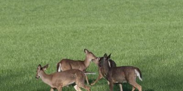 Article teaser image