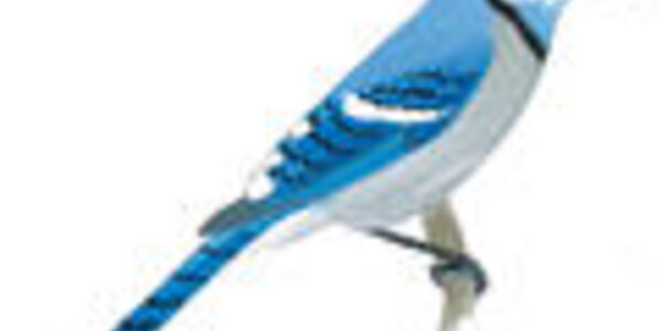 Article teaser image