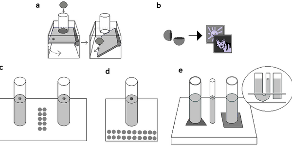 Article teaser image