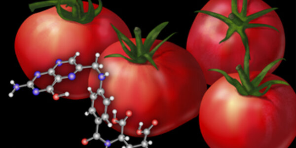 Article teaser image