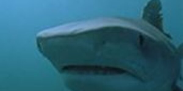 Article teaser image