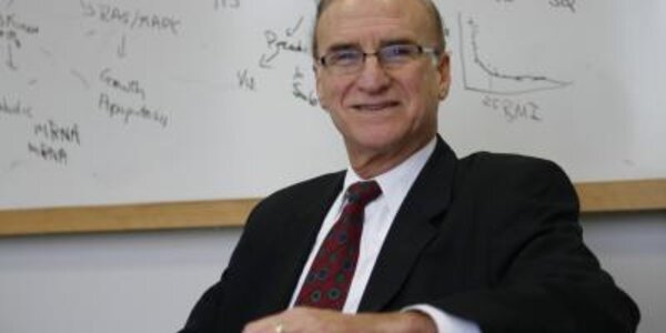 Article teaser image