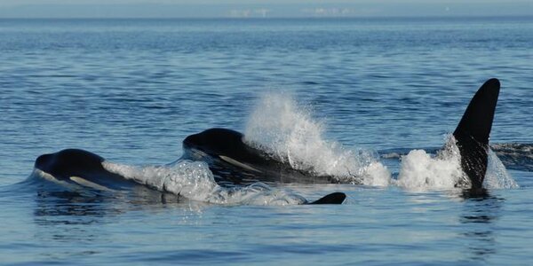 Article teaser image