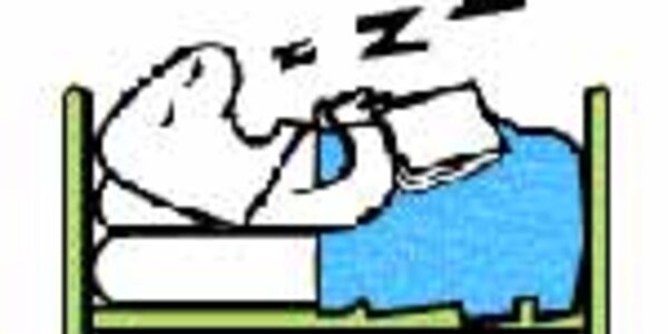 Article teaser image