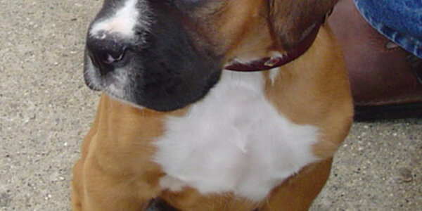 Article teaser image