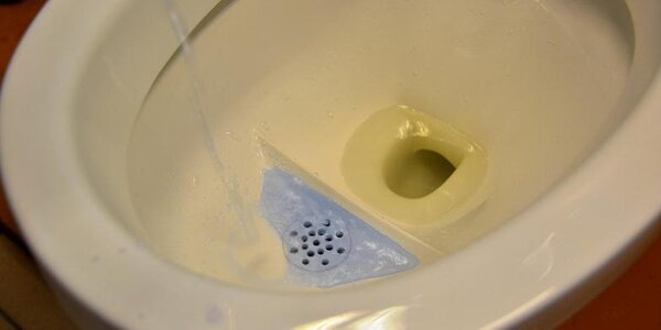 Article teaser image