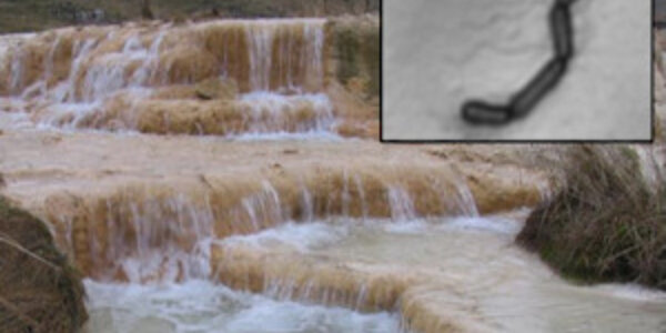 Article teaser image