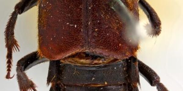 Article teaser image